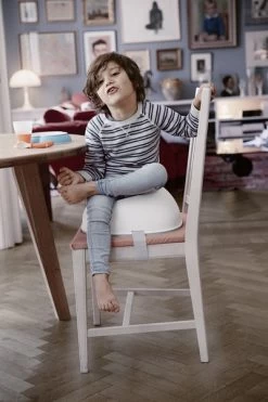 BabyBjorn Booster Seat