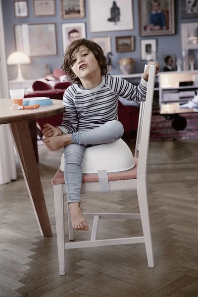 BabyBjorn Booster Seat