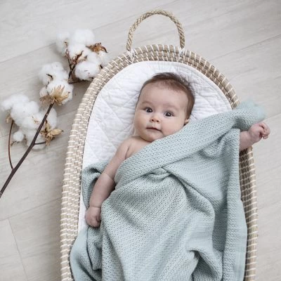 Living Textiles Organic Bassinet Cellular Blanket Sage