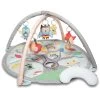 Skip Hop Grey Pastel Treetop Friends Activity Gym